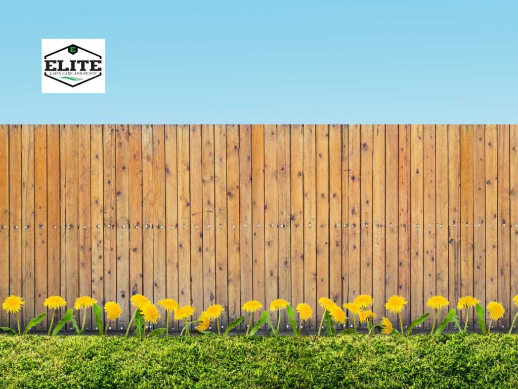 Quality Privacy Fencing