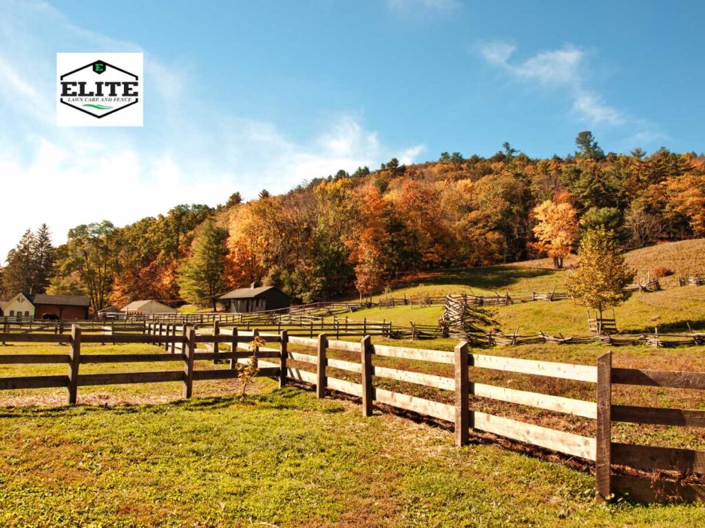 stunning fencing solutions